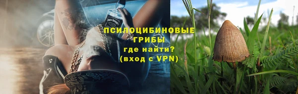 PSILOCYBIN Володарск