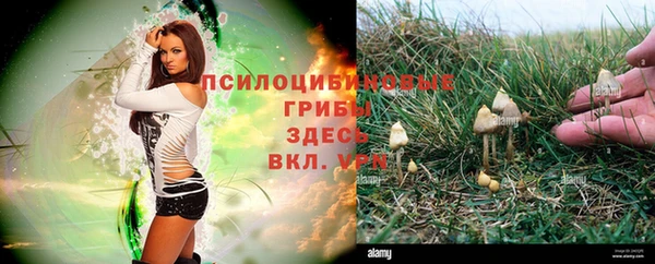 дживик Волосово