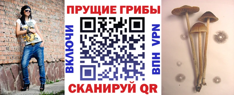 hydra онион  Спасск-Дальний  Псилоцибиновые грибы прущие грибы 