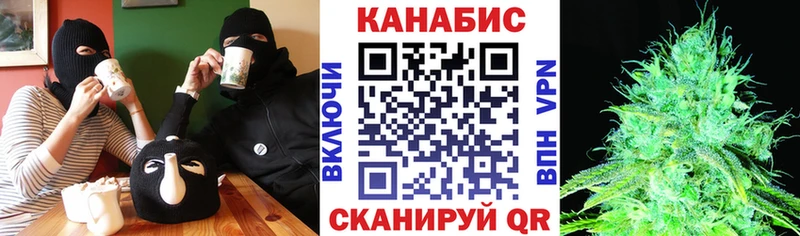 продажа наркотиков  Спасск-Дальний  Каннабис сатива 